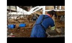 Anka Core - New Farm Hoof Trimming Crush From Anka! Fully Hydraulic Crush! - Video