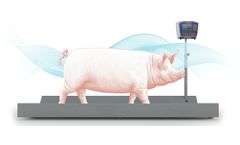 Model Control Pig - Control of Pig in Motion