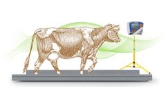 Model Control Cattle - Fast and Stress-Free Electronic System