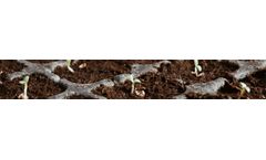 Coco Peat Products for Propagation Media