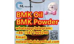 new bmk glycidic acid oil/powder vendor,new 5413-05-8,1451-83-8,10250-27-8,108897-28-5,20320-59-6