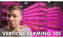 What is Vertical Farming and HOW DOES IT WORK? - Video