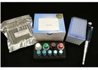 BeingBio - Model BAS-20-0068 - Microcystin Test Kit (ELISA Plate)