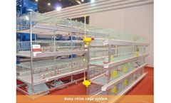 LIVI - Model Type A and Type B - Baby Chicken Brooder Cages
