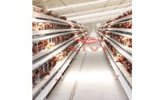 LIVI - Model A Type and H Type - Chicken Battery Layer Cages