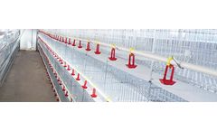 Model H Type - Broiler Cage