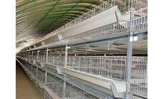 Model H Type  - Chicken Layer Cage