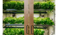 VH Hydroponics - Model Sunny Pro XL - Vertical Farming System