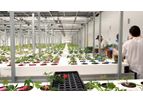 Aeroponic Grow Systems with Proven Quality & Consistency