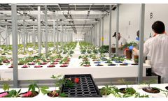 Aeroponic Grow Systems with Proven Quality & Consistency