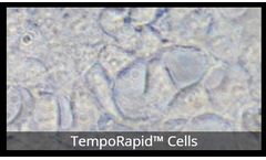 Model TempoATP - ATP Biosensor Assay