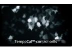 Model TempoCal - Calcium Biosensor Assay