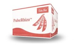 XiteBio PulseRhizo - Liquid Inoculant for Peas, Lentils & Faba Beans