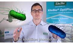 Sales Series - What is XiteBio?? OptiPlus?? - Video