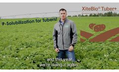 Introducing XiteBio?? Tuber+: P-solubilizing inoculant for Tuber Crops. - Video