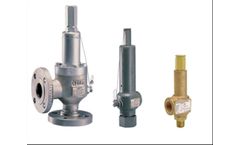 Anderson Greenwood Direct Spring Operated Pressure Relief Valves Series 60/80