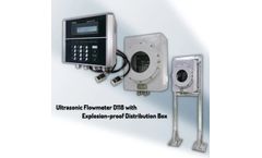 Model D118 - Flowmeter With Explosion-proof Distribution Box for Petrochemical