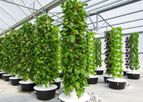 Vertical Hydroponic Tower System