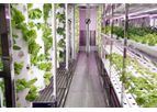 Hydroponic Shipping Container Farm