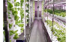 Hydroponic Shipping Container Farm