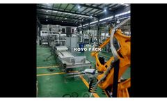 Automatic 50kg fish feed woven bag packing machine - Video