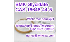 Lwax - Model CAS 16648-44-5 - BMK Methyl 2-Phenylacetoacetate