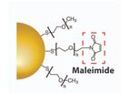 Model Maleimide - Gold Nanoparticles