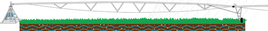 Center pivot machine provides a homogeneous distribution of water in large terrains