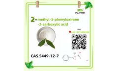 mojin - cas5449-12-7  sodium,2-methyl-3-phenyloxirane-2-carboxylic acid