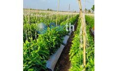 Parth - Agriculture Plastic Wire