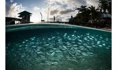 FRP Aquaculture Tanks