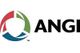 ANGI Energy Systems LLC