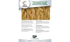 Catalyst Calcium-Si of Crop Fertilizer - Brochure
