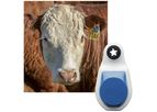 SenseHub - Cow Calf Monitoring Solution