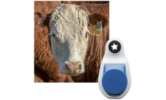 SenseHub - Cow Calf Monitoring Solution