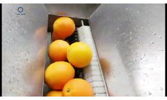 Industrial Citrus Fruit Juice Machine for Oranges/ Lemons/ Limes