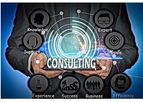 ProcedurePros - Consulting Services