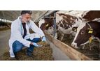 EndoBan - Model FT - Endotoxin Inhibitor for Livestock Feed