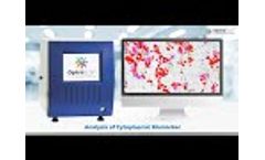 Artificial Intelligence & Machine Learning-based Image Analysis Solutions- Digital Pathology - Video