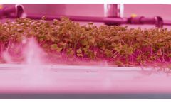 Aeroponic Rolling Benches??? from LettUs Grow - Video