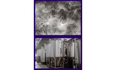 planetary - Biomass Fermentation Technology