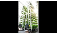 SKY GREENS VERTICAL FARMING SYSTEM`S NOW AVAILABLE AT SKYGREENS CANADA.COM - Video