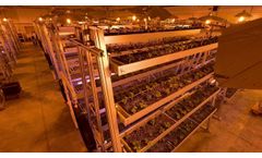 Vertical farming at its finest! Strawman farm with Sky Greens Technology - Video