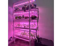 Arianetech SMARTGROWER - Corps Indoor Cultivation Kit 4 Tier c/w 3FT LED