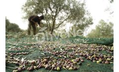 OLIVENET - Net for Olive Collection
