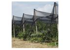 Retificio Padano - Anti-hail Net for Orchards and Vineyards