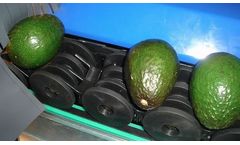 Insight Sorters - Sorting Machines for Avocado