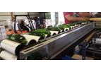 Insight Sorters - Sorting Machines for Cucumber & Squash