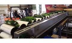 Insight Sorters - Sorting Machines for Cucumber & Squash