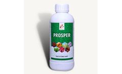 Ezzy - Model Prosper (PQQ) - Anti-Fungal Bio-Stimulant